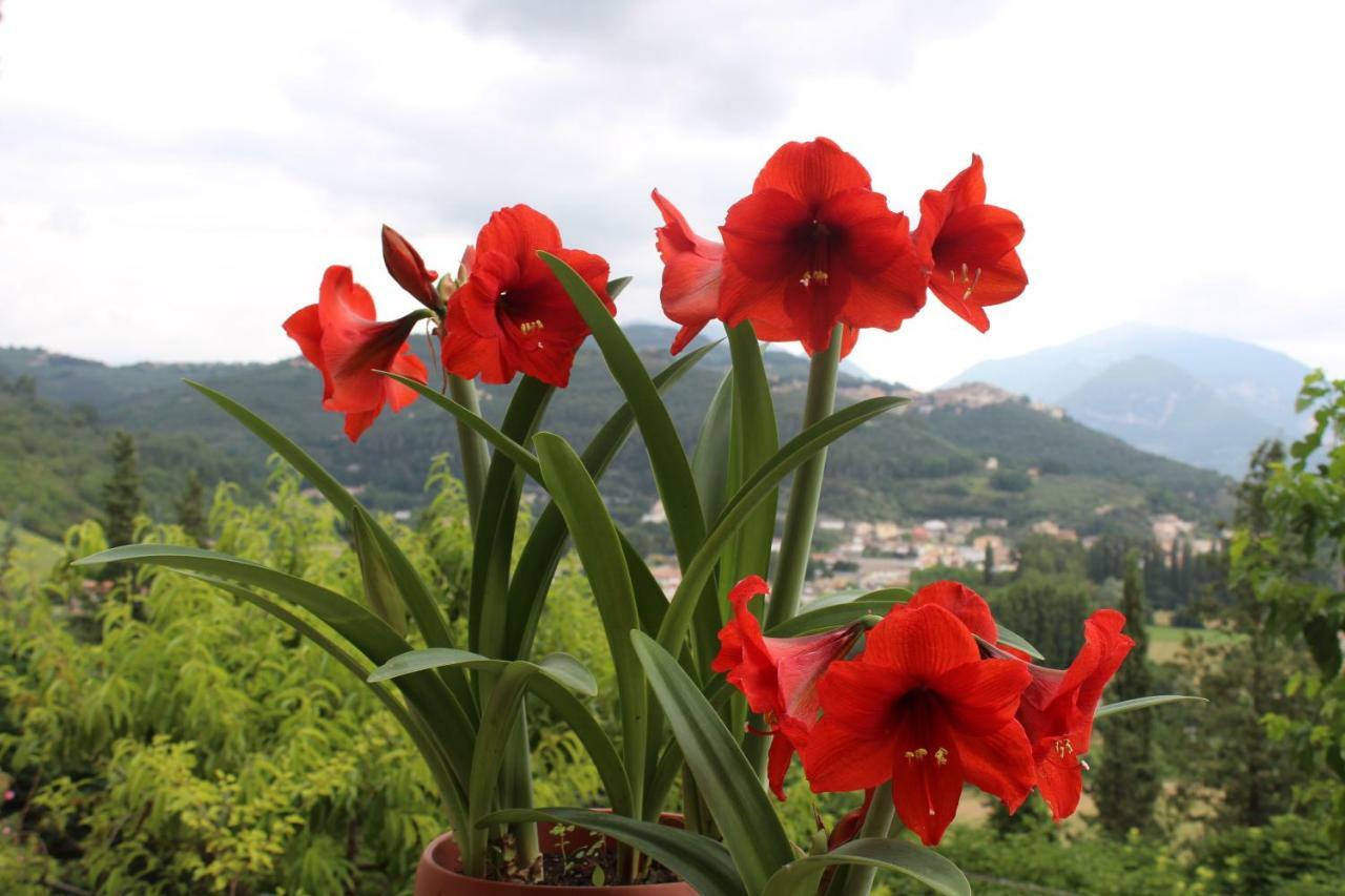 Il Castello Sul Lago Arrone Bagian luar foto