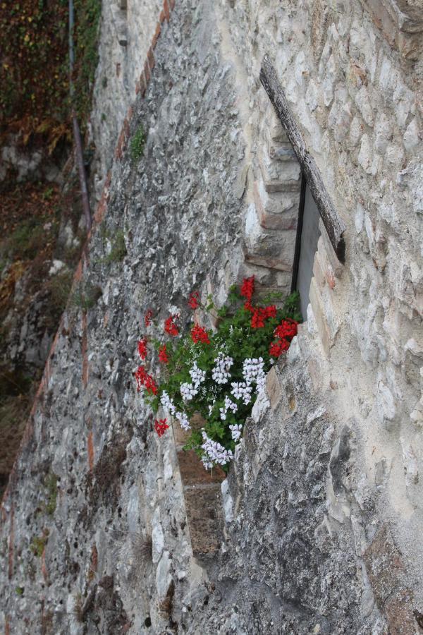 Il Castello Sul Lago Arrone Bagian luar foto