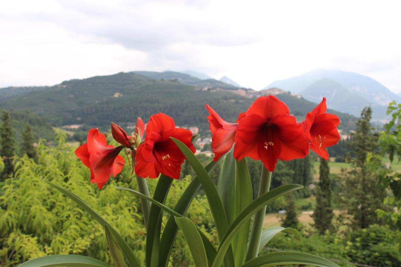 Il Castello Sul Lago Arrone Bagian luar foto