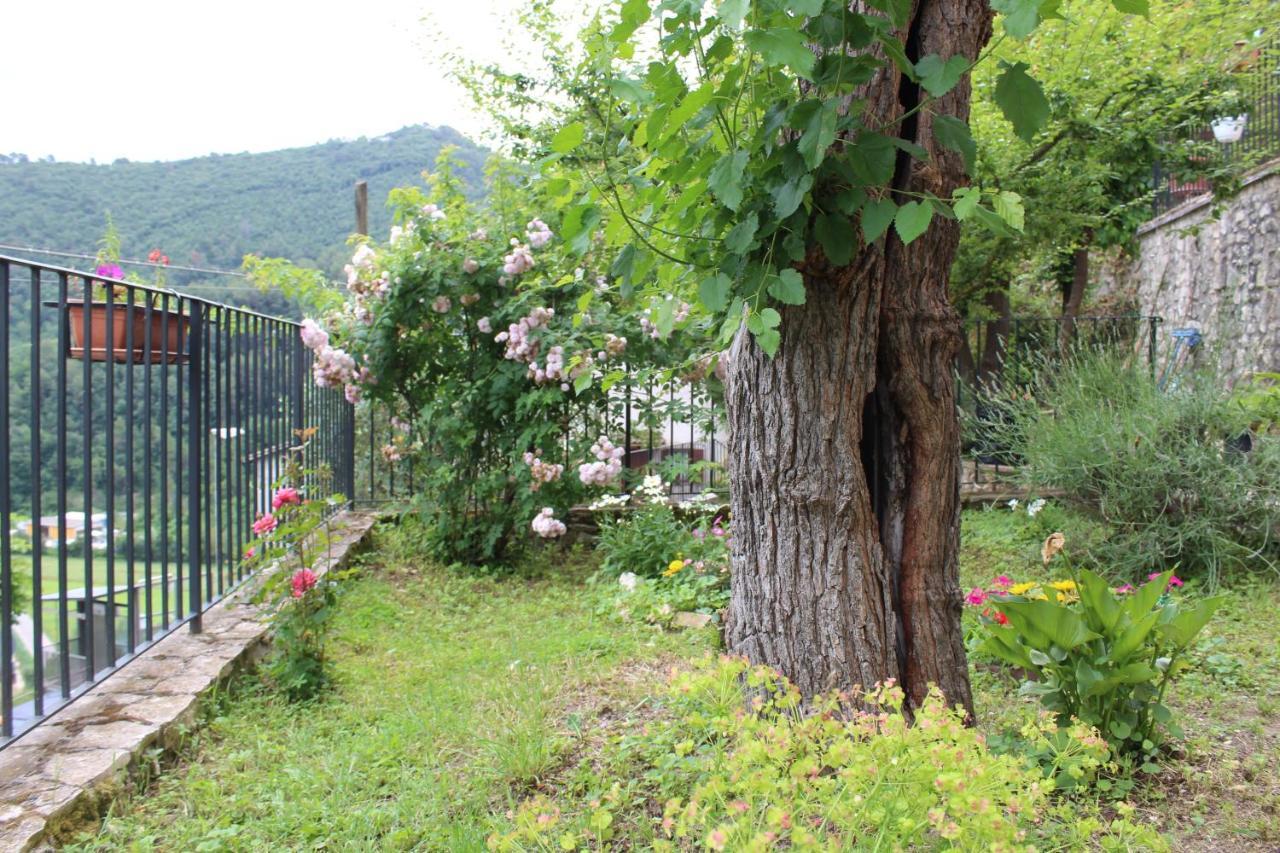 Il Castello Sul Lago Arrone Bagian luar foto