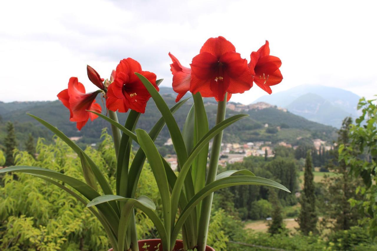 Il Castello Sul Lago Arrone Bagian luar foto